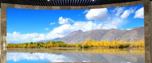 小間距l(xiāng)ed顯示屏未來的發(fā)展前景怎么樣？